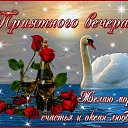 ���� �������, ����������, 73 ���� - ��������� 16 ���� 2014 � ������ ������ ��������