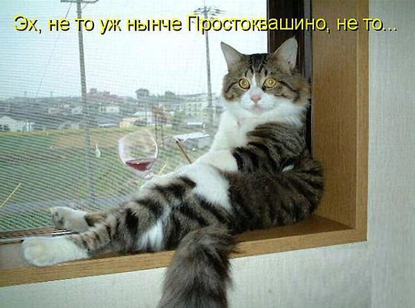 Cshohkolad - 11 ���� 2014 � 15:12