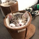 ���� ������, �������, 50 ��� - ��������� 16 ��� 2014 � ������ ������ ��������