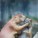 ���� � �����, � �������.... �� ������� �������