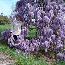 ���� �����, ����, 77 ��� - ��������� 10 ������ 2014