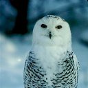 ���� �������, ���� - ��������� 16 ������ 2014 � ������ ���� ����������