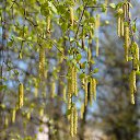 ���� ����������, ������� ��������, 63 ���� - ��������� 7 ���� 2014 � ������ �������