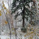 ���������� ����,����� ����� ��������.