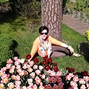 ���� �����, ������, 59 ��� - ��������� 16 ��� 2014 � ������ ���� ����������