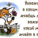 ���� �������, ������ - ��������� 9 ���� 2014 � ������ ������ ��������