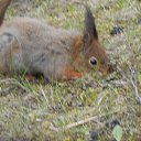 ���� ����, �����-���������, 57 ��� - ��������� 1 ��� 2014 � ������ �� �����