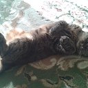 ���� �����, ������ - ��������� 28 ���� 2014 � ������ ���� ����������