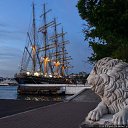 ���� �����, �����������, 49 ��� - ��������� 9 ���� 2014 � ������ ������ ��������