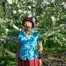 ���� ������ �������, �����-���������, 72 ���� - ��������� 19 ���� 2014