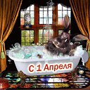 ���� ((������)), ������ �������� - ��������� 1 ������ 2014 � ������ �Foto Sympathy�