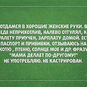 ���� Vadim, ���������, 44 ���� - ��������� 5 ������� 2014 � ������ ������ ��������