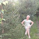 ���� �������, ���������, 73 ���� - ��������� 10 ������� 2014 � ������ ���� ����������