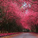 ���� ����, �������, 45 ��� - ��������� 22 ��� 2014 � ������ ������ ��������