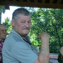 ���� ��������, ���������, 69 ��� - ��������� 16 ���� 2014