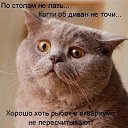 ���� �������, �������� - ��������� 15 ������ 2014 � ������ ���� ����������