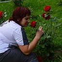 ���� ������, �������, 49 ��� - ��������� 3 ��� 2014 � ������ ���� ����������