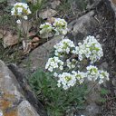 ���� ���������, ������������, 60 ��� - ��������� 2 ��� 2014 � ������ ���� ����������