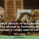 ���� ���������, ������ - ��������� 14 ��� 2014 � ������ ������ ��������