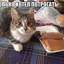 ���� &dagger;Seniorita&dagger;, ����������� - ��������� 11 ��� 2014 � ������ ������ ��������