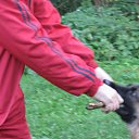  Andrus, , 63  -  21  2014    