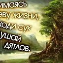 ���� ���������, ������, 59 ��� - ��������� 2 ���� 2014 � ������ �� ������������