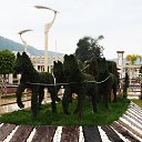  Necip, , 44  -  16  2014    2014