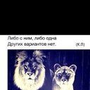 ���� ���������, ������ - ��������� 12 ������� 2014 � ������ ���� ����������