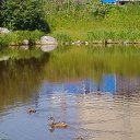 �������� 2014� �� ������� ���� ����������