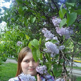 ����, ������, 33 ����