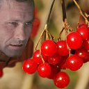 ���� �������, ������, 63 ���� - ��������� 7 ��� 2014 � ������ ������ ��������