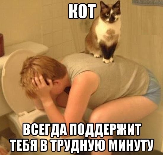 �������������� �� ���: fotostrana.ru/public/232203 ;-)