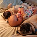 ���� Imp, ������� - ��������� 30 ��� 2014 � ������ �mops�