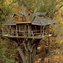 ���� ������, ���������, 63 ���� - ��������� 23 ����� 2014 � ������ ���� ����������