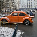 ���� ���������, �����, 42 ���� - ��������� 22 ����� 2014 � ������ ���� ����������