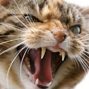 ���� ����� �����, ����, 50 ��� - ��������� 25 ������ 2014 � ������ �������� ������