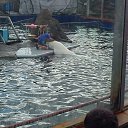  ,  , 23  -  17  2014    