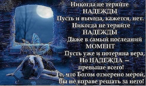 ������ - 5 ������ 2014 � 11:24