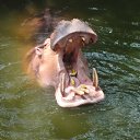 ���� ����, ���� - ��������� 22 ������� 2014 � ������ ���� �� �����