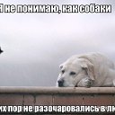 ���� �������, �����-���������, 68 ��� - ��������� 26 ������ 2014 � ������ ������ ��������