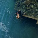 ��� ����� ������ �� ������� ������