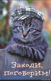 ���� Viktor, �����, 54 ���� - ��������� 28 ���� 2014