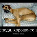 ���� ��������, �����������, 59 ��� - ��������� 13 ��� 2014 � ������ ������ ��������