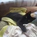 ����� �� ��� ����� 2013 ����))) �� ������� ���� �������