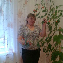 �����, ����������