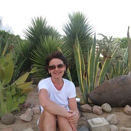 ���� ������, ������� - ��������� 14 ��� 2014