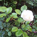 ���� �����, ������ �������� - ��������� 29 ���� 2014 � ������ �2014 ��