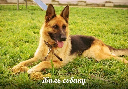     .       .  7     ... ...