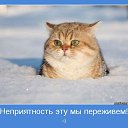  ,   -  18  2014    ?