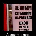 ���� ���������, �����, 53 ���� - ��������� 25 ���� 2014 � ������ ������ ��������